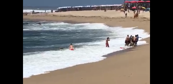 Mulher salva por populares de afogamento no mar da Póvoa de Varzim -  MAIS/Semanário