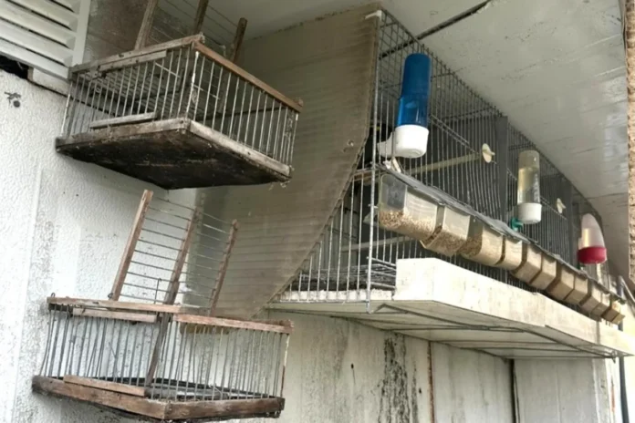 img_1500x1000uu2026-01-12-18-46-22-2259684