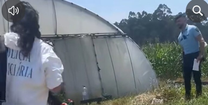 Sem título