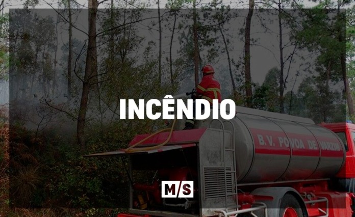 Incendio_Terrenos